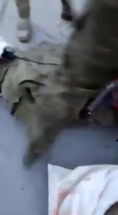 schokkende-videos-tonen-oekrainers-die-russische-krijgsgevangenen-neerschieten-en-martelen-iii-1-mp4